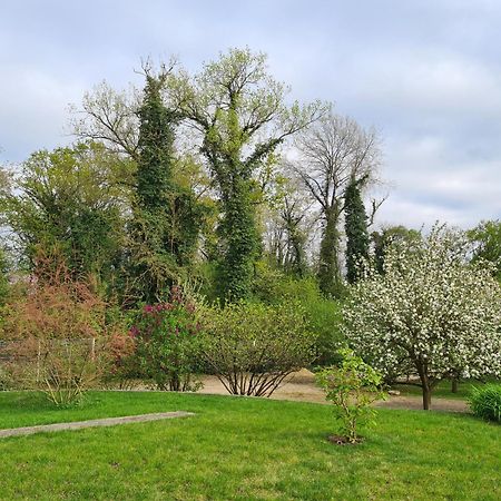 Appartamento Chez Jaja Et Phiphi Bourg-et-Comin Esterno foto