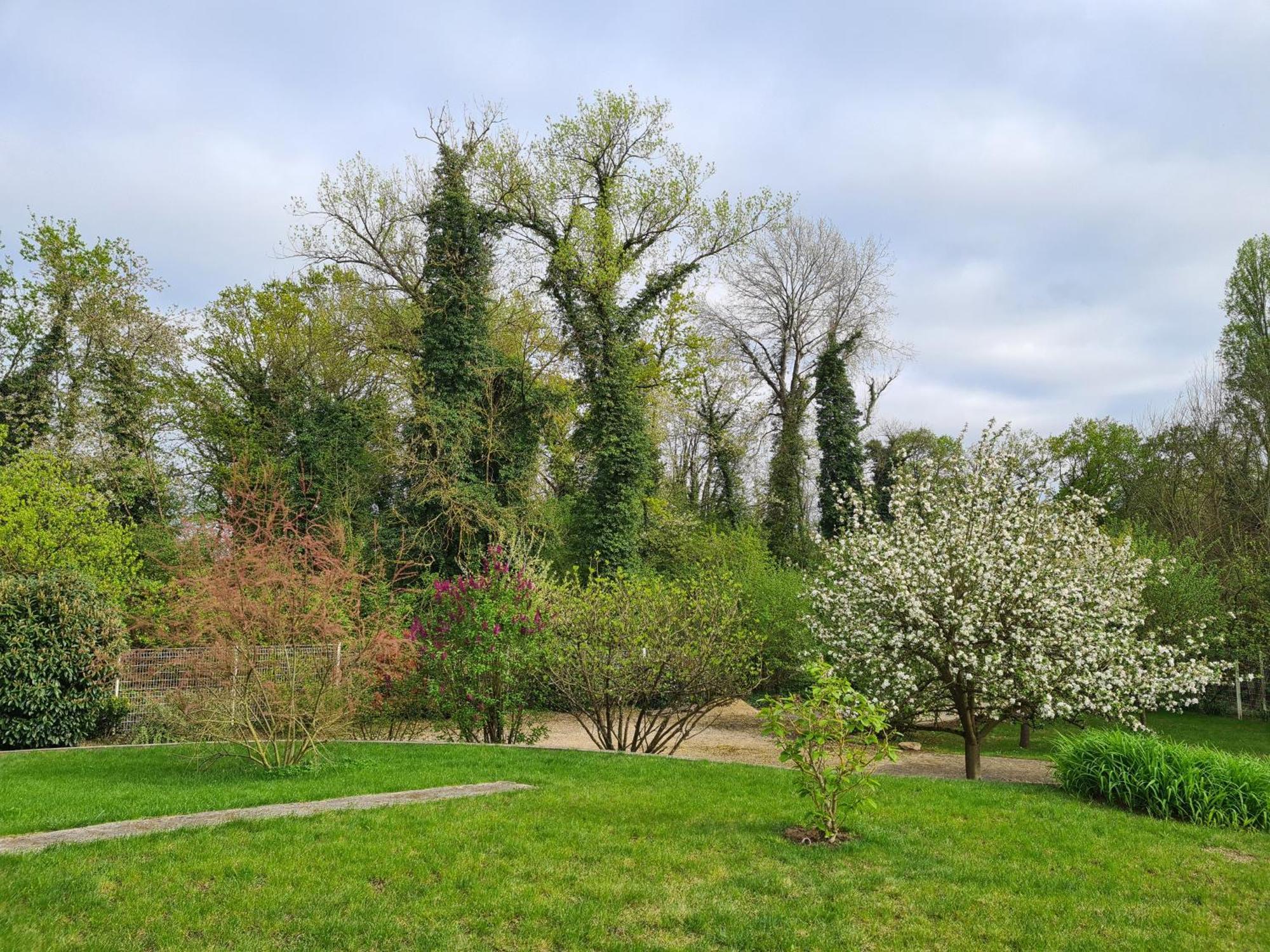 Appartamento Chez Jaja Et Phiphi Bourg-et-Comin Esterno foto