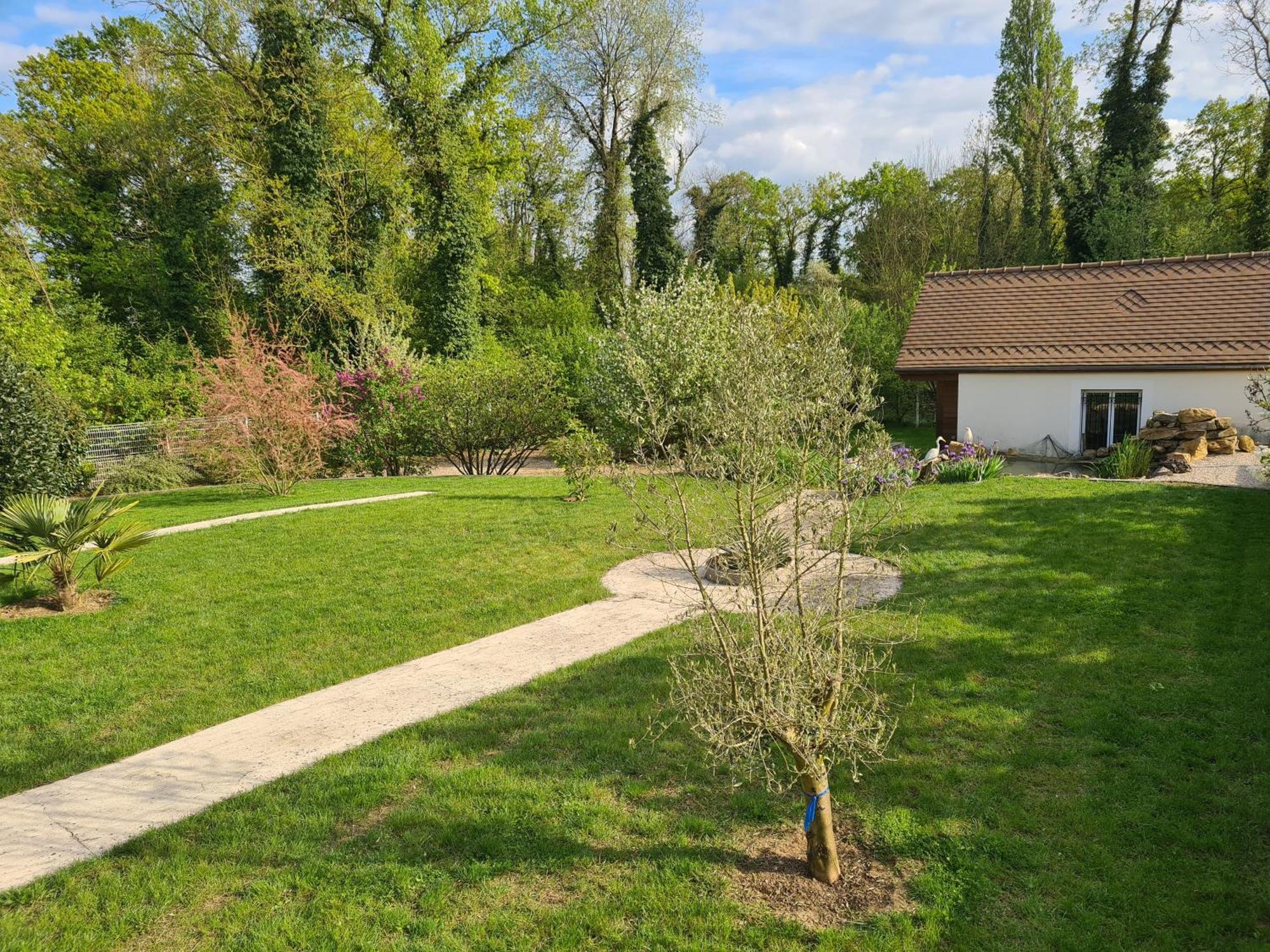 Appartamento Chez Jaja Et Phiphi Bourg-et-Comin Esterno foto